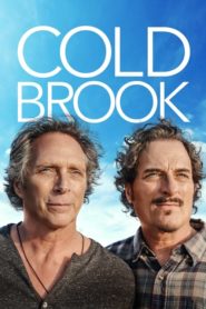 Cold Brook 2019