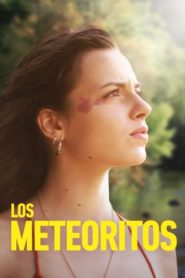 Les météorites (Los meteoritos) (2019)