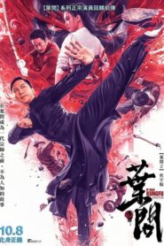 IP Man: El maestro del kung fu 2019