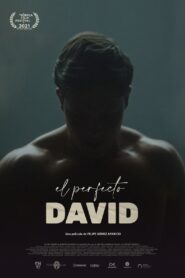 El perfecto David 2021